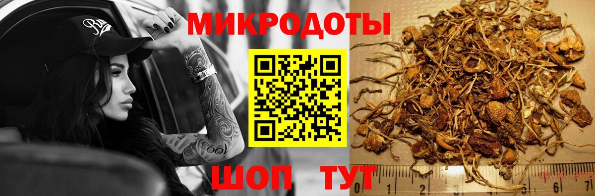 Псилоцибиновые грибы Psilocybine cubensis  Вход с VPN  Губаха 