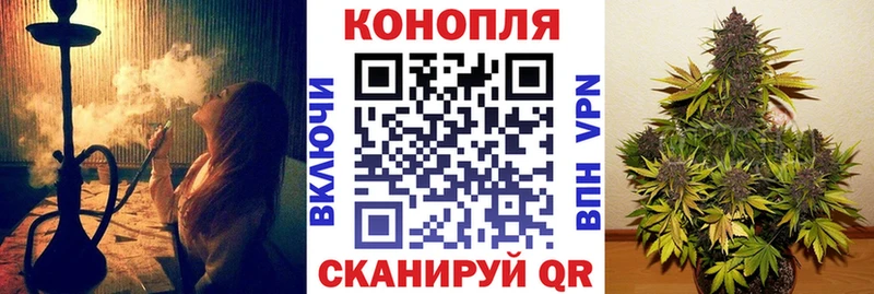 Каннабис OG Kush  Губаха 